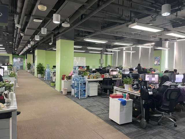 深圳专业室内除甲醛加盟服务